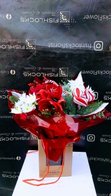 festive handtied spruce, Amaryllis, liex berries deilanne, red roses and a little candy touch