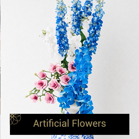 Spring flowers